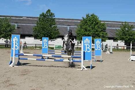 Connemara Pondus - Igen igen Lb. billede 14