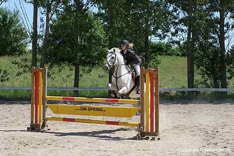 Connemara Pondus - Smukt ikk? :P Det her er La ! ( : billede 16