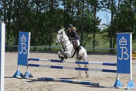 Connemara Pondus - Og lige en kombination i La ! ( : Første spring i kombinationen. billede 17