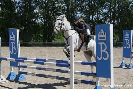 Connemara Pondus - Og anden spring i kombinationen i La  ! ( : billede 18