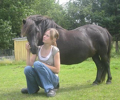 Shetlænder | Kærholms Tulle *udlånt  - VeLkOmMeN TiL TuLlEs PrOfIL  billede 1