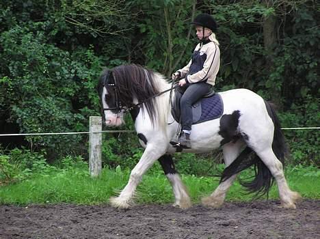 Tinker Eamon - bare på en almendelig dag hvor vi hygger. billede 6