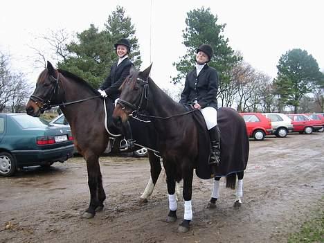 Traver  Doktergårdens Flika - mig og Stine Heide til stævne på EOR vi står og venter på at komme ind.. stine er herinde med hendes 2 heste billede 12