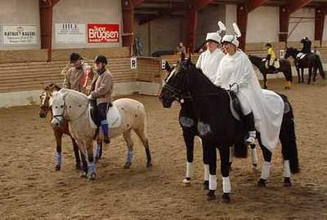 Anden særlig race Dunja - Dunja og April til præmieoverrekelse v. parridning v. klubstævne hvor vi vandt billede 12