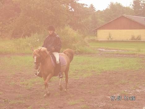 Anden særlig race Debbie  - 17 juli 2005 .. sorry kvaliteten, men det regnede :b  billede 14