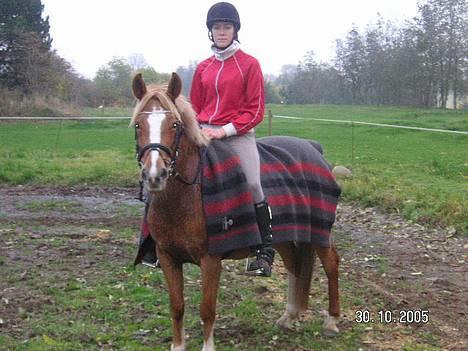 Anden særlig race Debbie  - 30 okt 2005. Efter endt træning.  billede 15