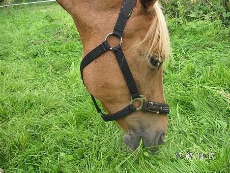 Anden særlig race Debbie  - Mums =) billede 17