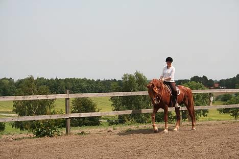 Knabstrupper Baldur Aus Der Schuetzend - Helena og Baldur. 2006 billede 11