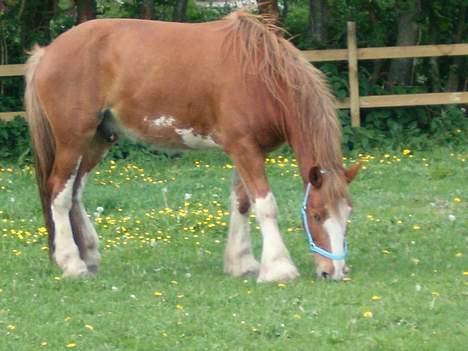 Tinker Milton billede 2