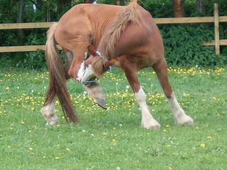 Tinker Milton billede 3