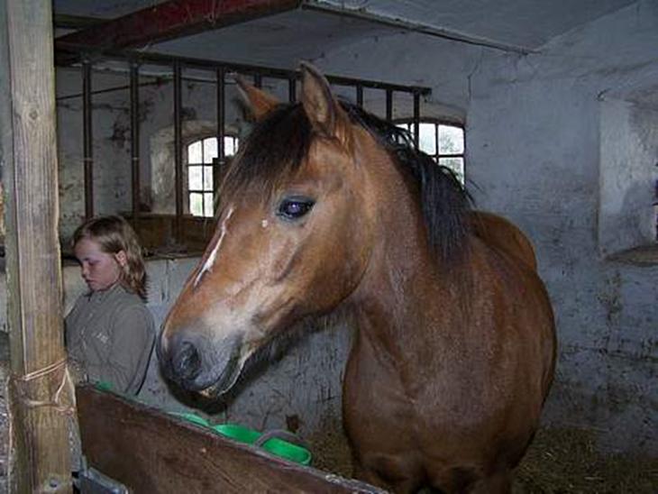 {{currentPhoto.altText}} billede {{currentPhoto.number}}