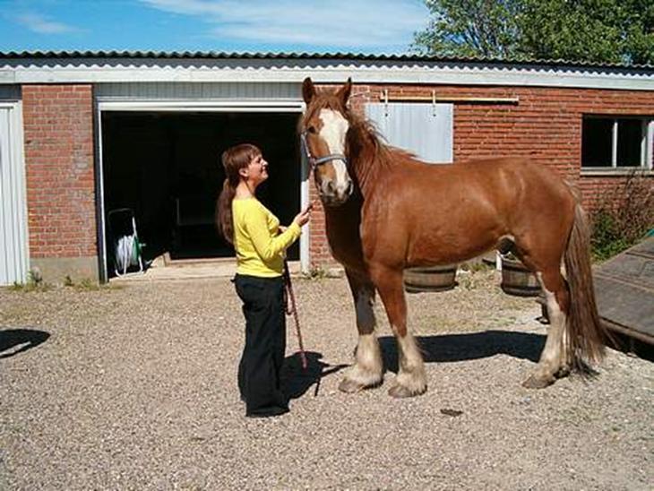 {{currentPhoto.altText}} billede {{currentPhoto.number}}