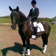 Anden særlig race Franzen