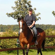 Dansk Varmblod Athene