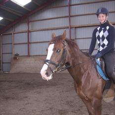 DSP Sejerøs Jackie (udlånt)