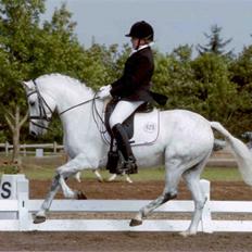 Tysk Sportspony Kalita ¤Solgt¤