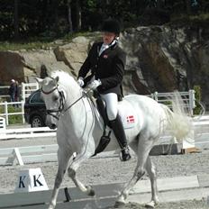 Tysk Sportspony Kalita ¤Solgt¤