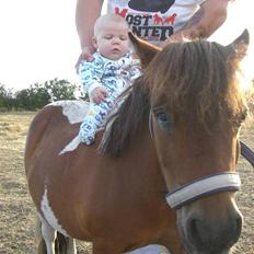 Miniature Lille Kurt  <3 >> R.I.P<<