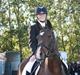 New Forest Shakira - SOLGT
