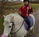 Shetlænder Flicka