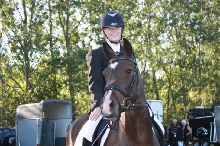 New Forest Shakira - SOLGT billede 1