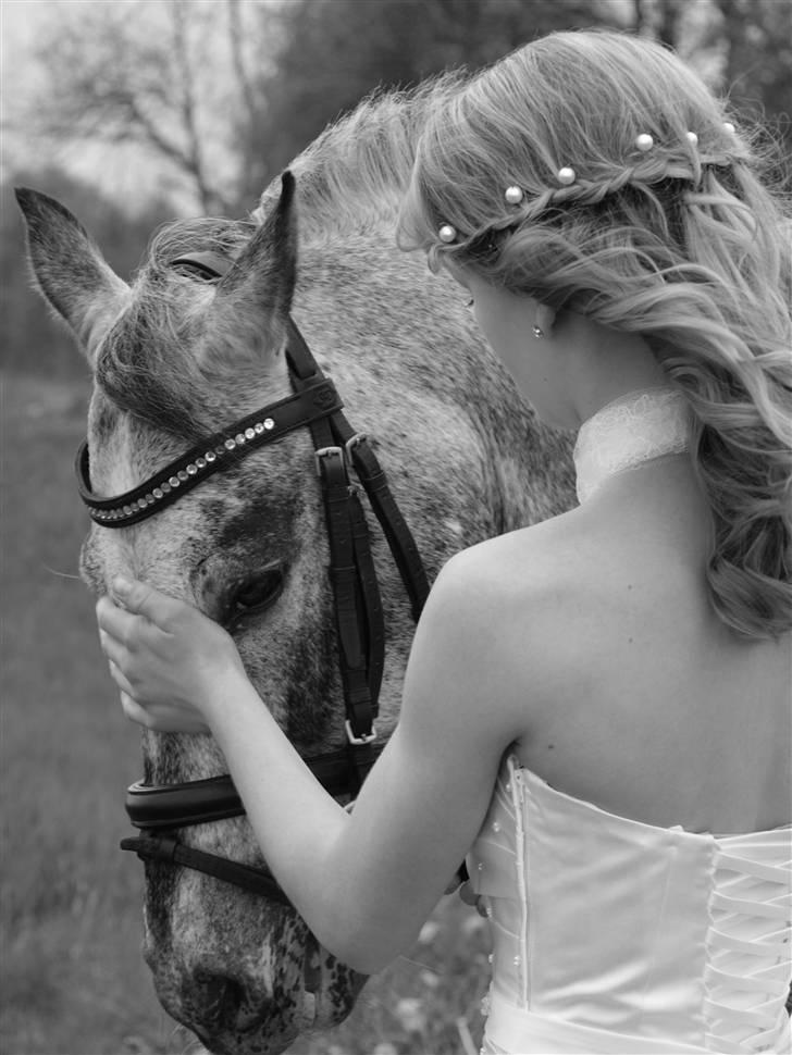 Appaloosa He is My Happiness(Happy) - Du betyder alt min dreng <3 - På min konfirmation (´: - d. 8. maj 2009 billede 11