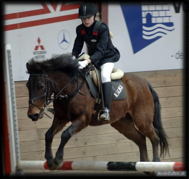 Anden særlig race Bastian "SAVNET" - Mig og basse lc klubmestreskab billede 6