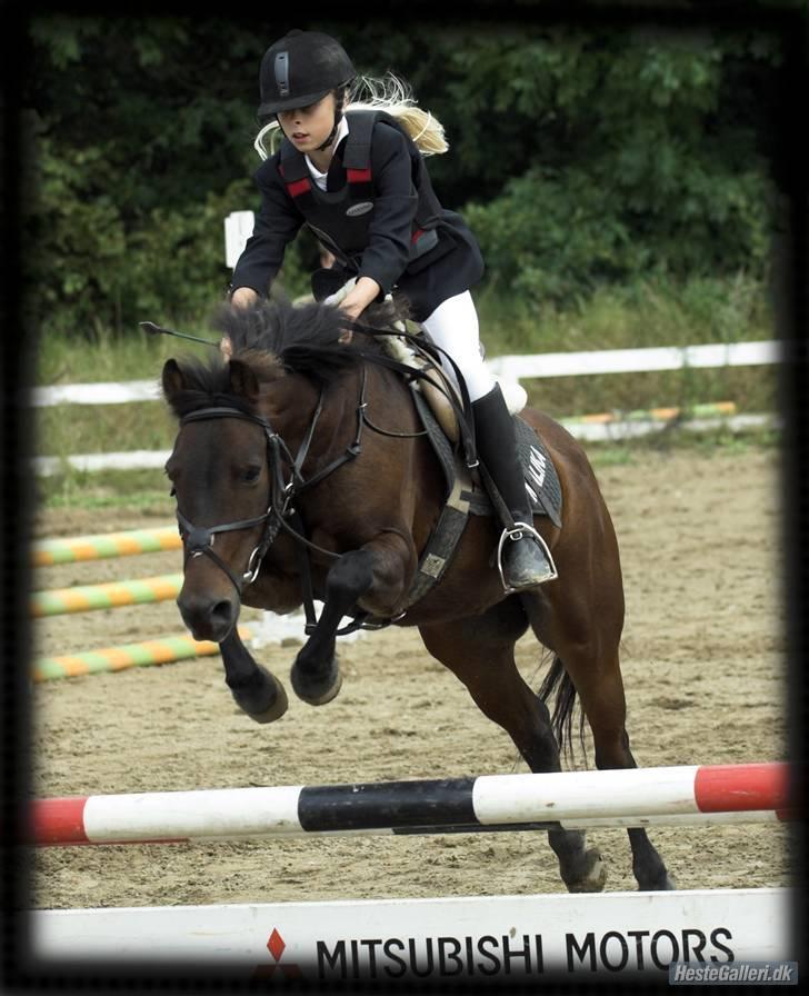 Anden særlig race Bastian "SAVNET" - mig og basse lc på VOSK billede 7