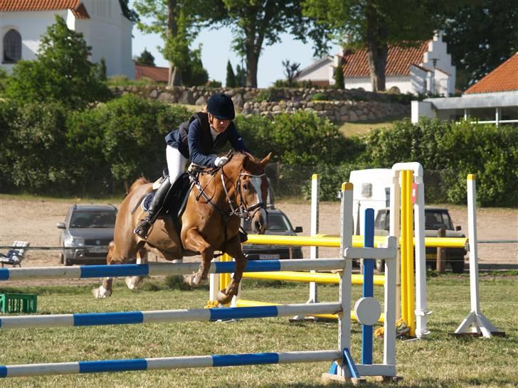 Tysk Sportspony Denver - Mb tror jeg. Bellinge rideklub 08. Foto: Mikkel billede 16