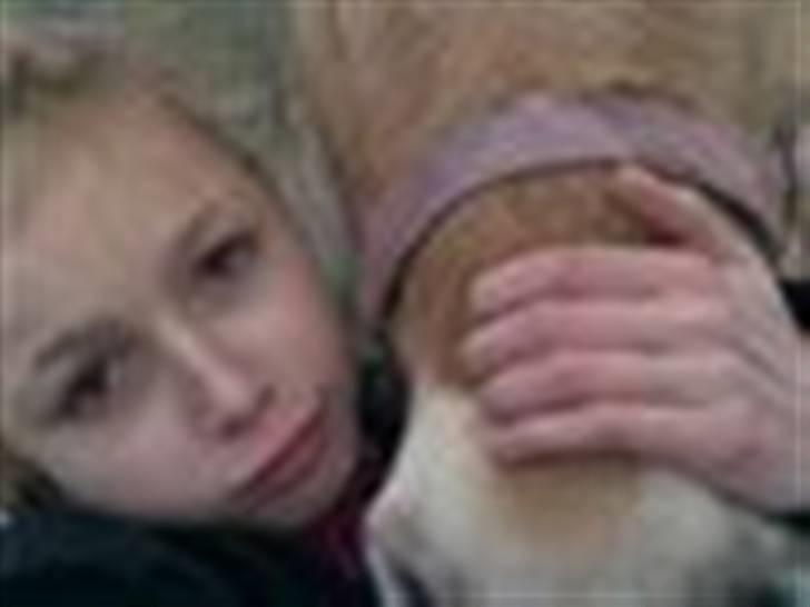 Fjordhest Maja (: * GP *  billede 9