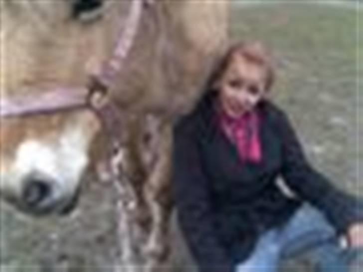 Fjordhest Maja (: * GP *  billede 12