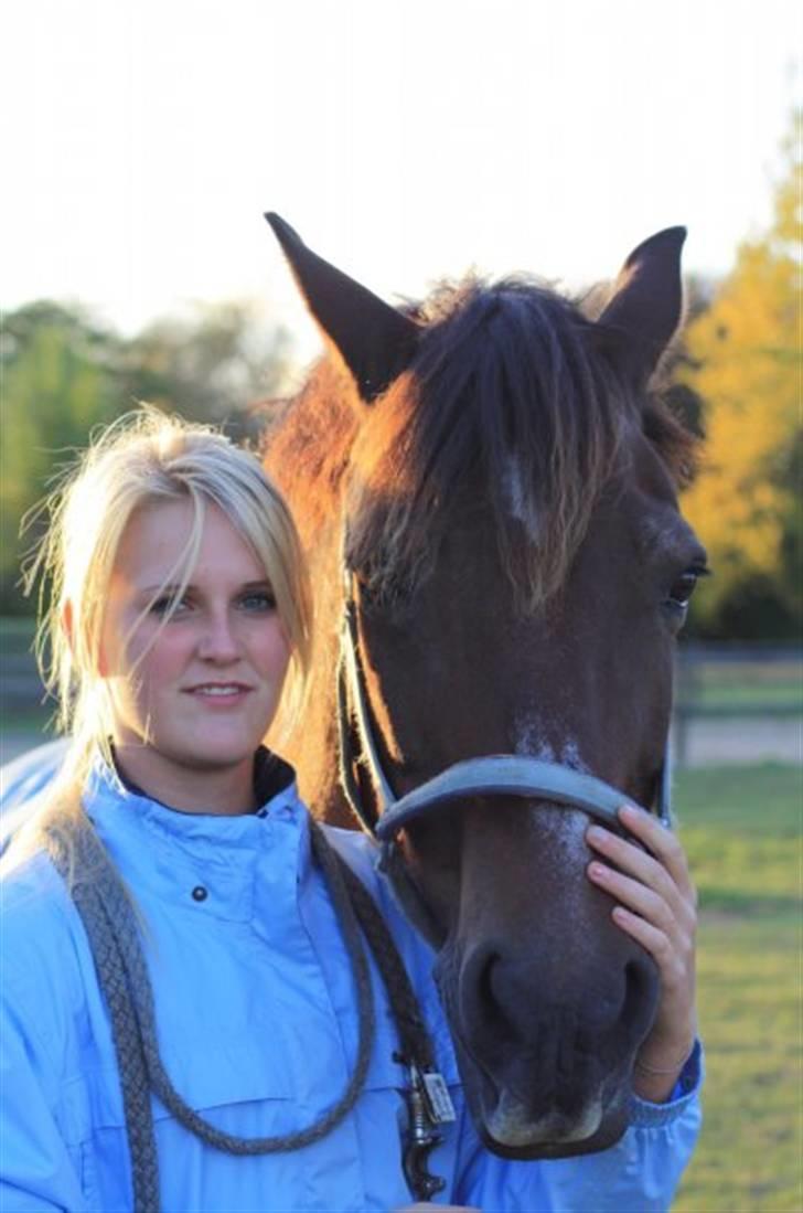 Welsh Cob (sec D) Maglehøj Dunhill R.I.P - Dunhill og jeg. 3 smukheder i billedet, et smukt fysisk legme og 2 smukke personligheder.  Foto: Marie H billede 1