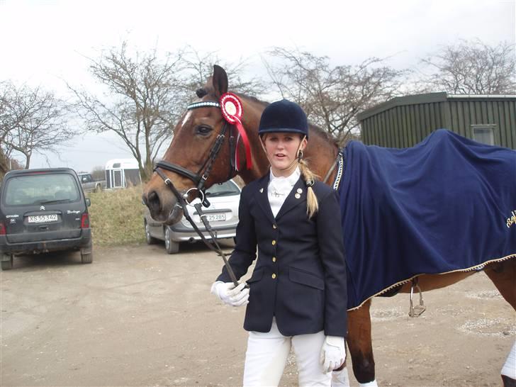 Welsh Cob (sec D) Maglehøj Dunhill R.I.P - Sådan skal det sku se ud :) 70 % i LC2 på VER 29. marts og vi vandt :)  foto: Tine T billede 6