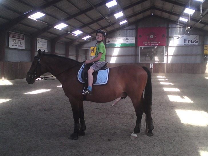 Anden særlig race Don Camilo - min papbror på milo:) billede 16