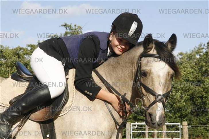 Welsh Pony (sec B) Kithas Remi  - #6. Speciel bilelder fra FMR <3 billede 8