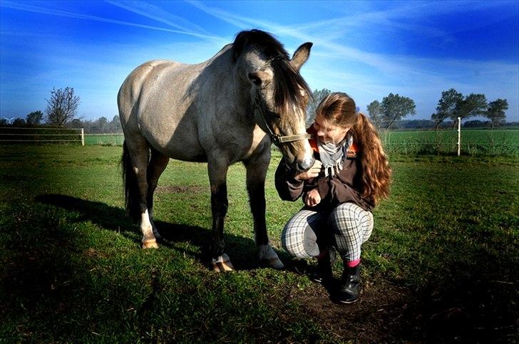 Welsh Pony (sec B) Kithas Remi  - Vi har været et par i 9 år nu.. <3 billede 13
