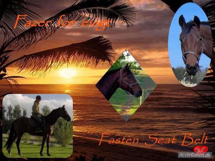 Traver Fasten Seat Belt  R.I.P. billede 11