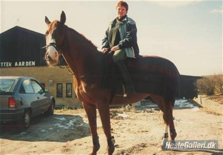 Dansk Varmblod Aluette - Alu og hendes ejer Anne  billede 3