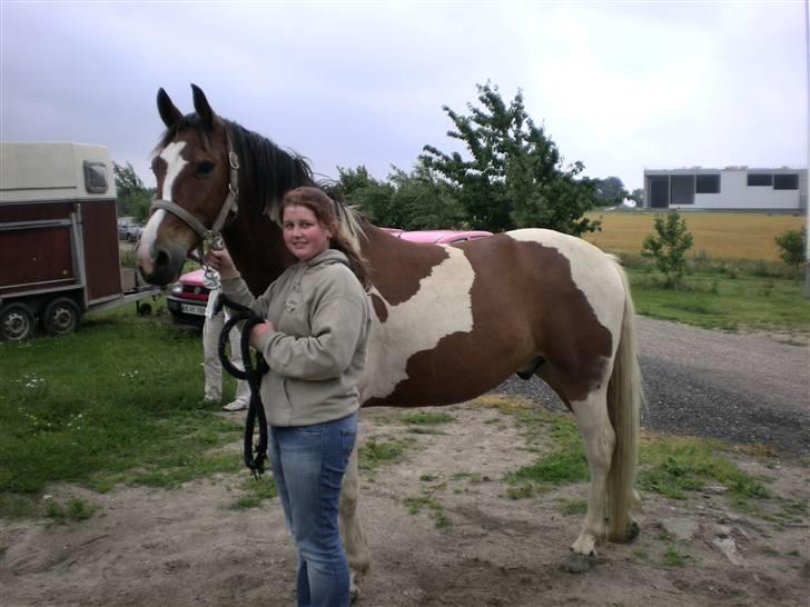 Anden særlig race Master - Master da han kom hjem til sin nye boks billede 1