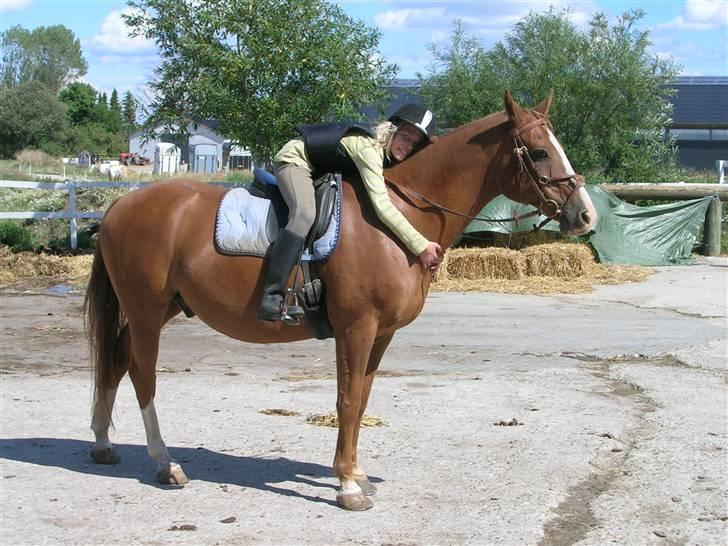 Anden særlig race Roland Garros R.I.P <3 - Krammer efter ridetur xD Elsker dig min <´3Foto: Mor billede 12