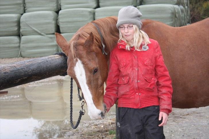 Anden særlig race Roland Garros R.I.P <3 - Når jeg ser på dette billed, ved jeg hvor mange minder der lægger bag. Man kan ikke fotografere et minde, men man kan tage et billed som kan hjælpe til at huske det..... Vores sidste dag sammen <3  Foto: Mor billede 13