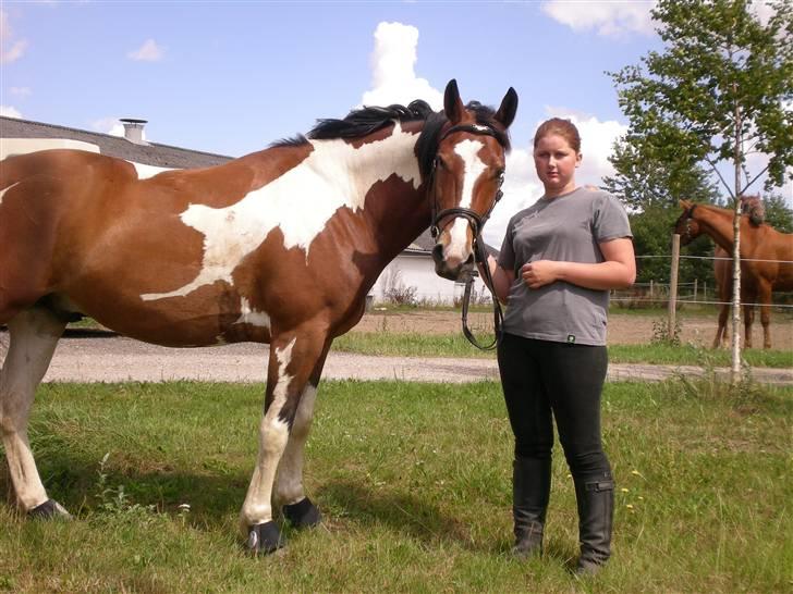 Anden særlig race Master billede 10