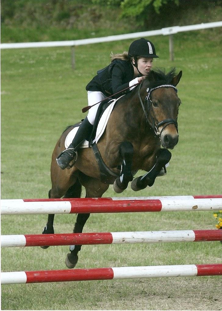 New Forest Bastian ¤solgt&savnet¤ - Morsø-cup 09  billede 14