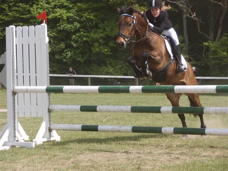 New Forest Bastian ¤solgt&savnet¤ - Bastian og mig morsø-cup 09  billede 16