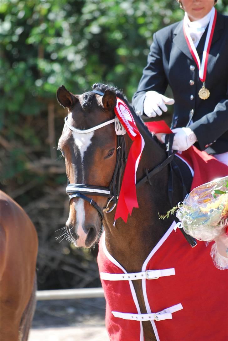 DSP Samson - Præmie overrakkelse - Distriksmetster i D4 2008 :D :D :D  billede 11