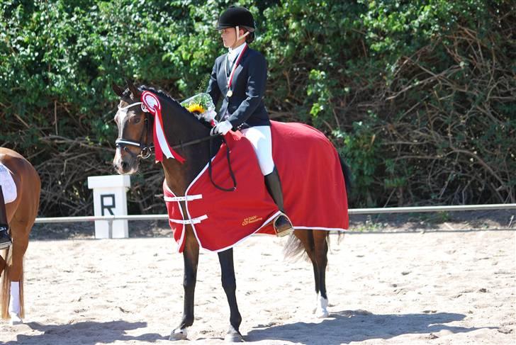 DSP Samson - Præmie overrakkelse - Distriksmetster i D4 2008 :D :D :D  billede 12