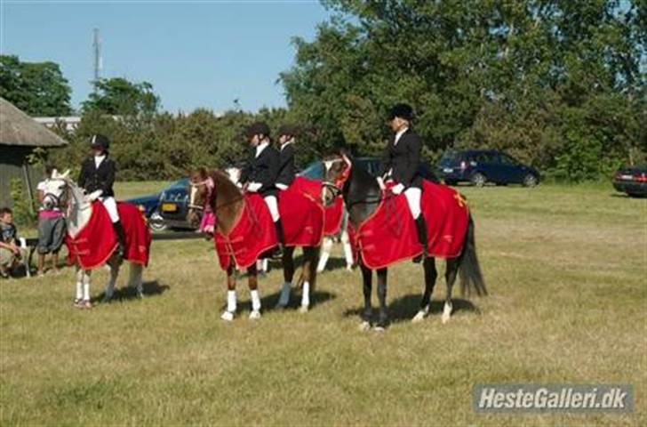 DSP Samson - Distriksmesterskab fro hold :D :D <3 billede 13