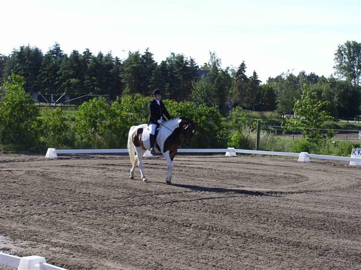 Pinto Lundhøjgårds Wizard (SOLGT) - 5~*Lundhøjgårds Wizard~*her er vi lige redet ind på banen til vores første stævne (: .. Fotograf: Michael (Far) billede 6