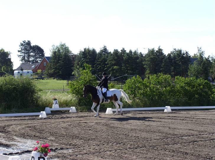 Pinto Lundhøjgårds Wizard (SOLGT) - 10~*Lundhøjgårds Wizard~*mig og wizard til vores første stævne ;d .. Fotograf: Michael (Far) billede 10