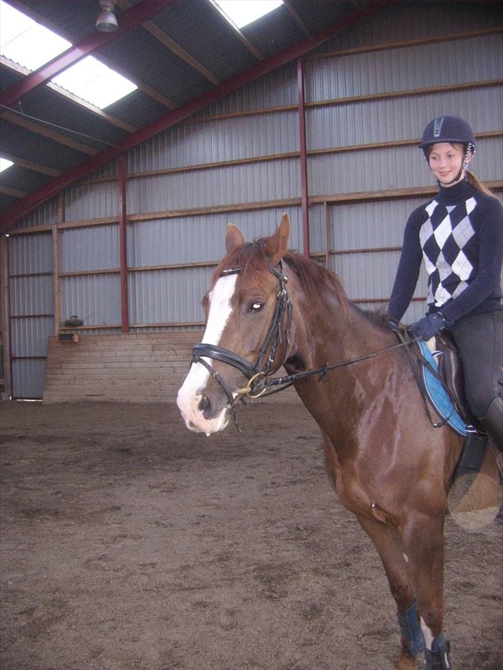 DSP Sejerøs Jackie (udlånt) billede 2